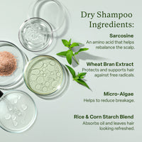 Best Sellers Bundle