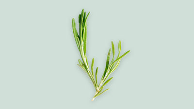 Rosemary Leaf Extract for Hair Health