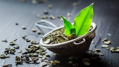 Green Tea Extract and Hair Growth: Mechanism of Action