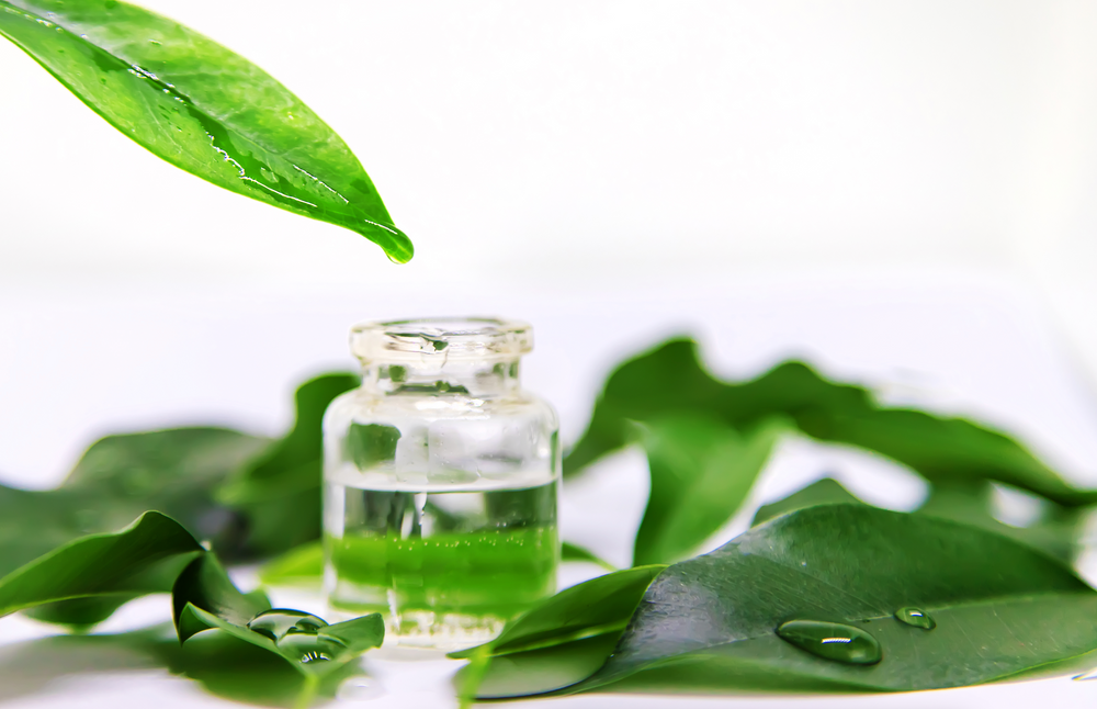 Divi’s Scalp Serum: The Benefits of Green Tea Extract for Hair Growth