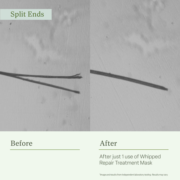 The Repair & Restore Routine