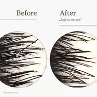 Scalp Reset Shampoo