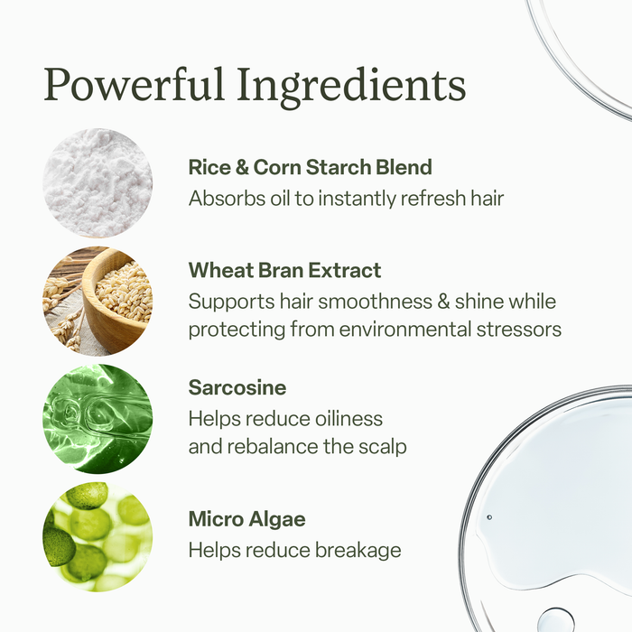 Dry Shampoo Duo