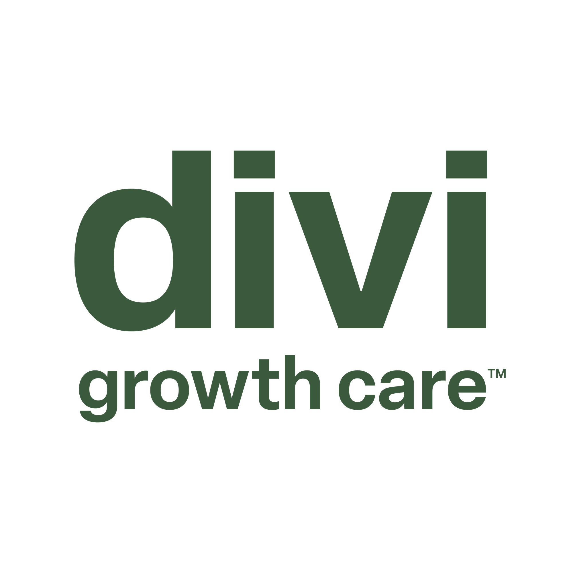 Divi Official logo