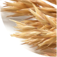 Oat Repair Peptides