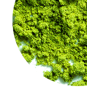 A Blend of Postbiotics, Green Tea and Glucosamine