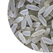 Rice Protein