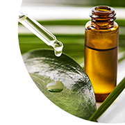 Tea Tree Oil