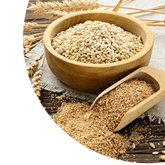 Wheat Bran Extract