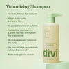 Volumizing Starter Bundle